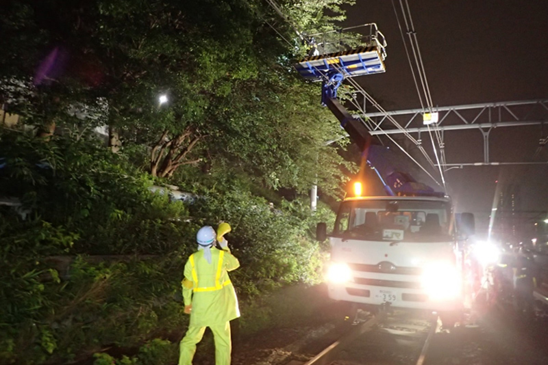 沿線木伐採工事 イメージ1